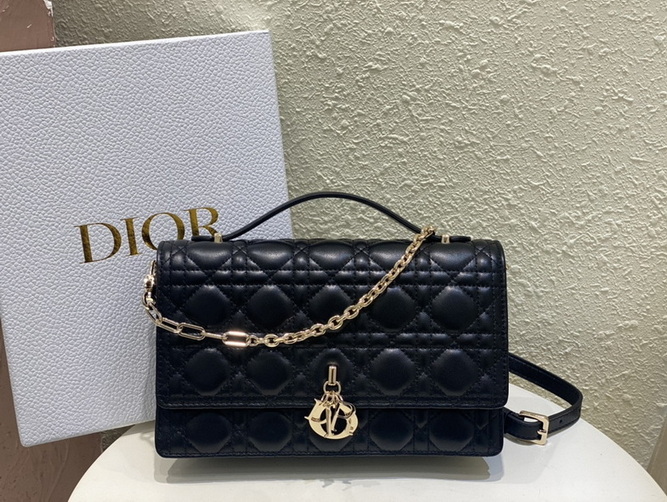 Dior Handbags AAA(Women)-233