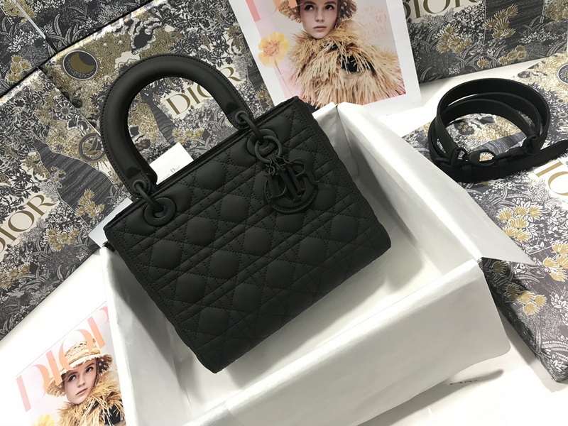 Dior Handbags AAA(Women)-556