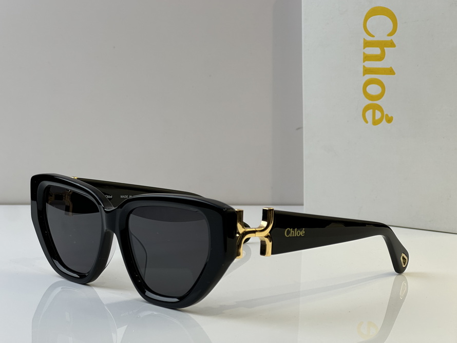 LOEWE Sunglasses(AAAA)-563