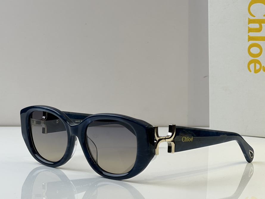 LOEWE Sunglasses(AAAA)-557