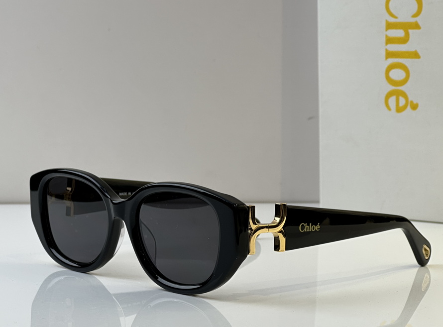 LOEWE Sunglasses(AAAA)-556