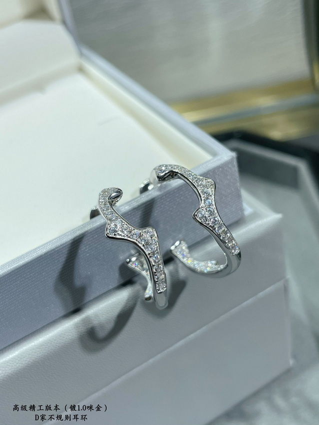 Dior Earrings-374
