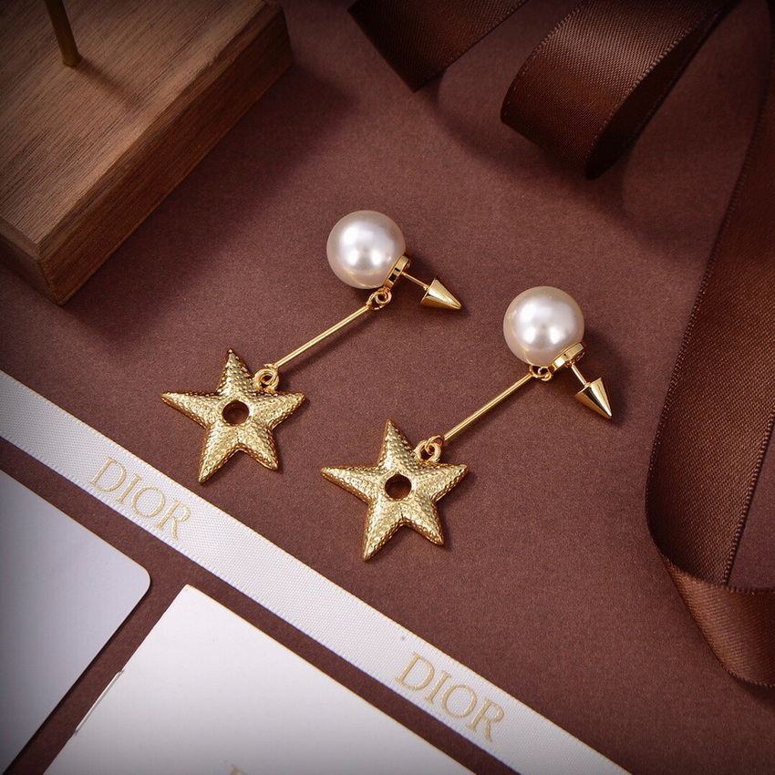 Dior Earrings-181