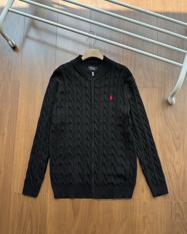 POLO Sweater-027