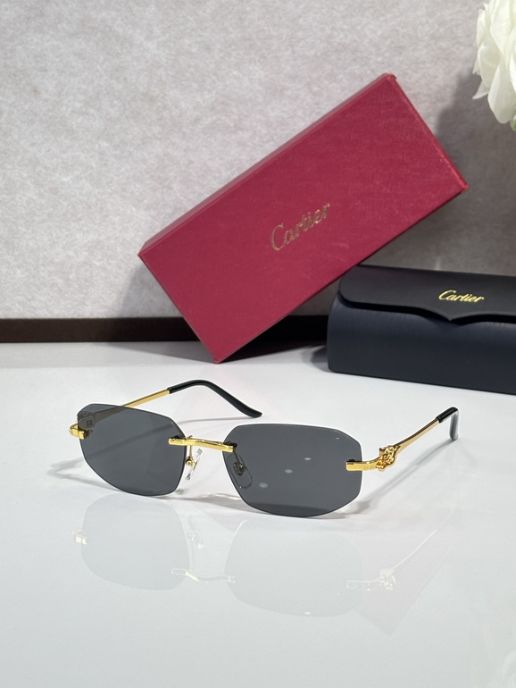 Cartier Sunglasses(AAAA)-1704