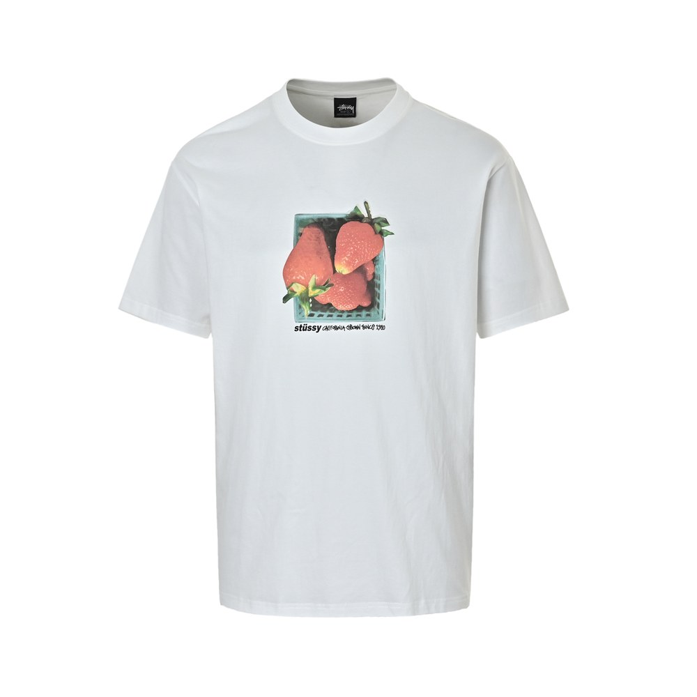 Stussy T-shirts-042