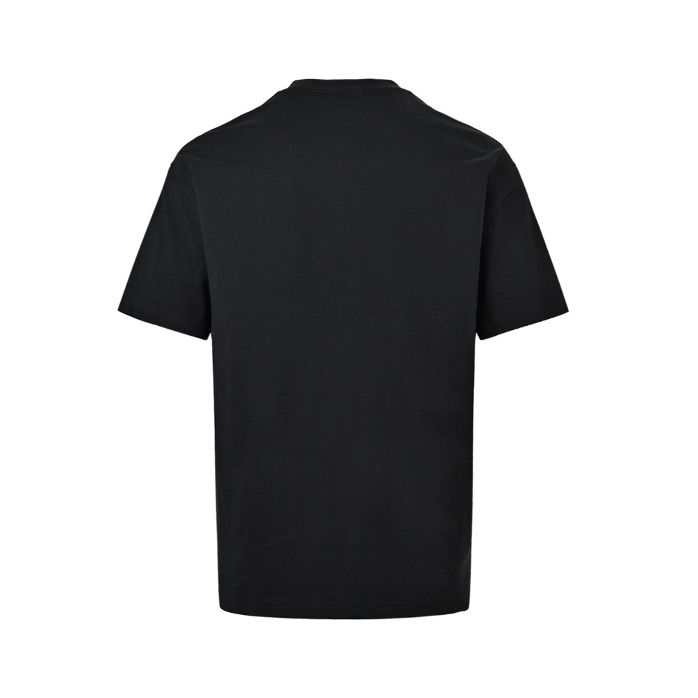 Stussy T-shirts-041