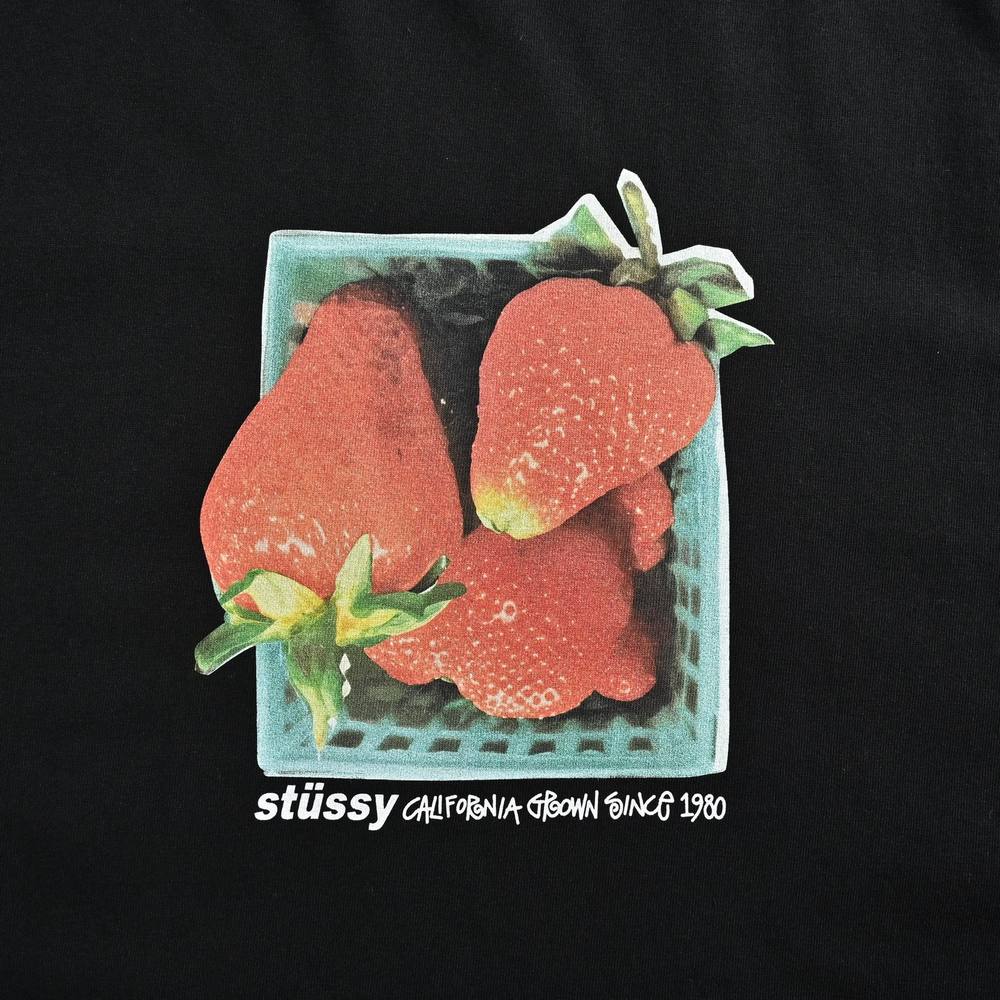 Stussy T-shirts-041