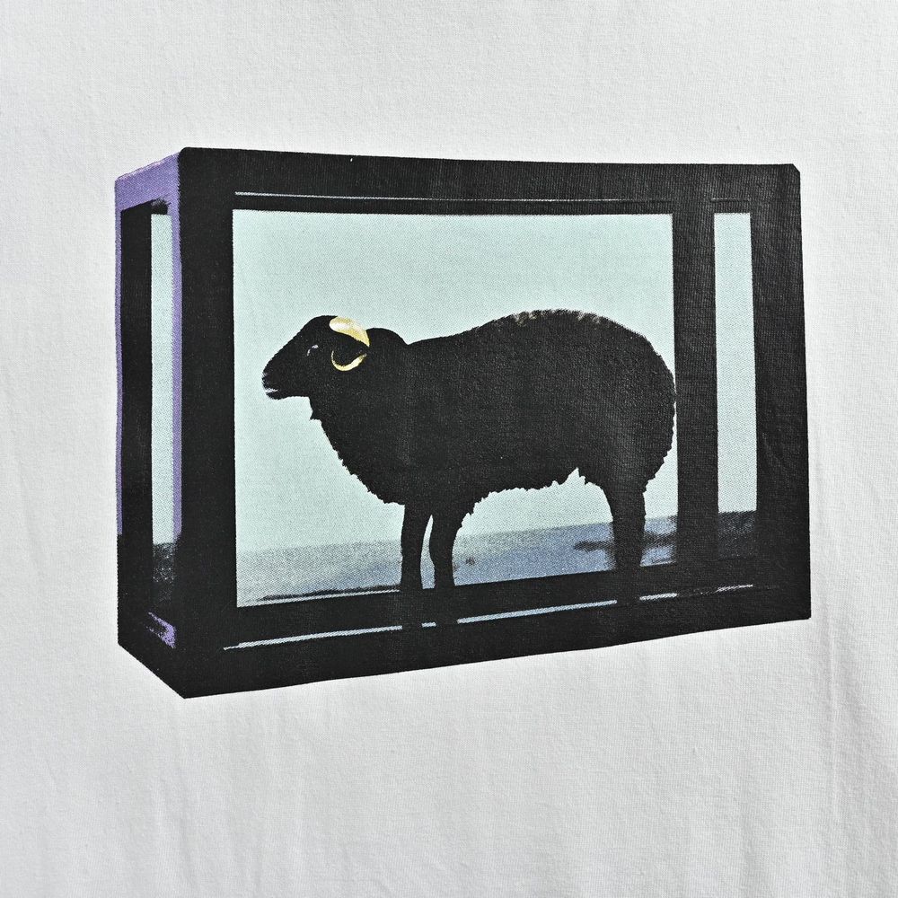 Supreme T-shirts-474